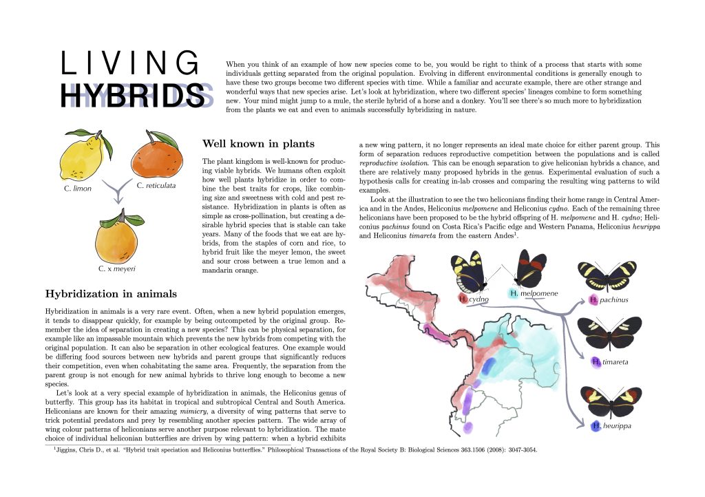 living hybrids magazine article